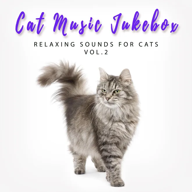 Relaxing Sounds For Cats, Vol.2