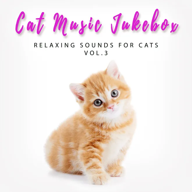 Relaxing Sounds For Cats, Vol.3