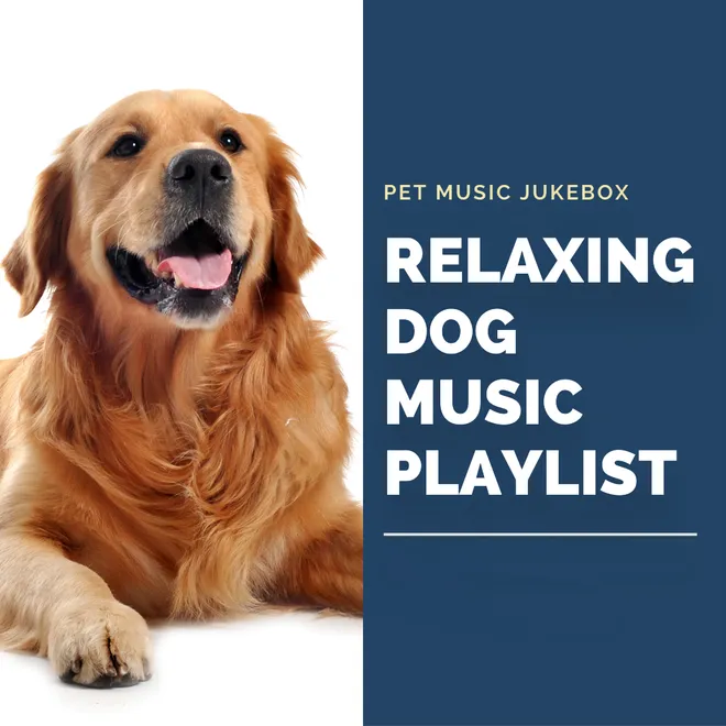 Relaxing dog music playlist